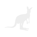 Känguru